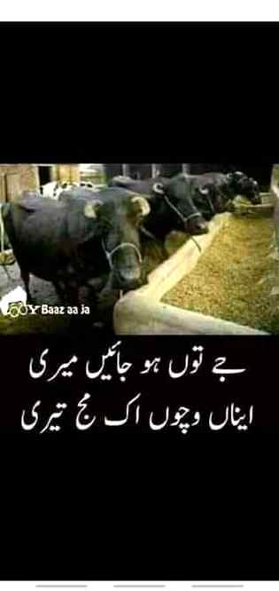 Funny joke