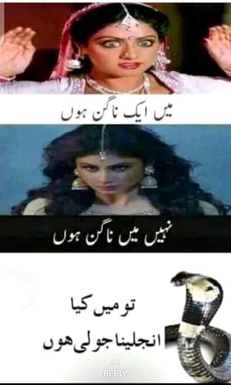 Funny joke
