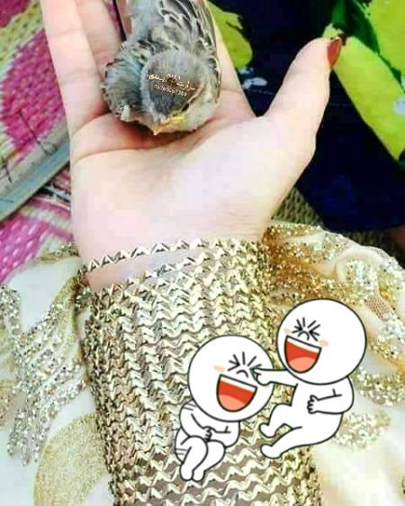 Funny joke