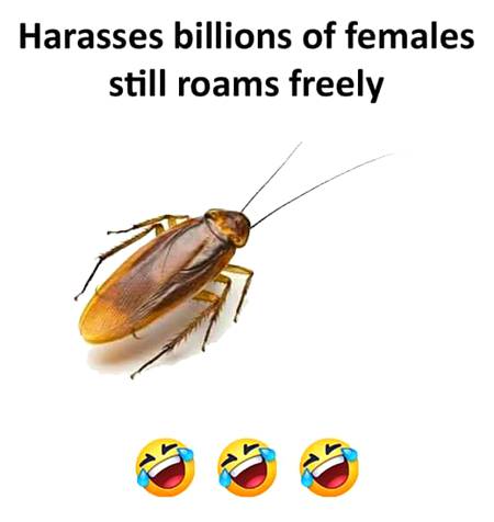 Funny joke