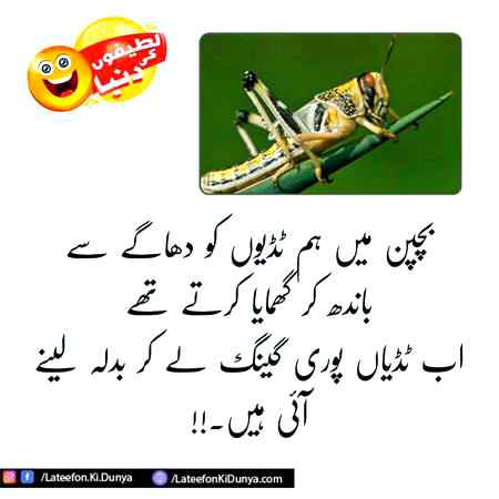 Funny joke