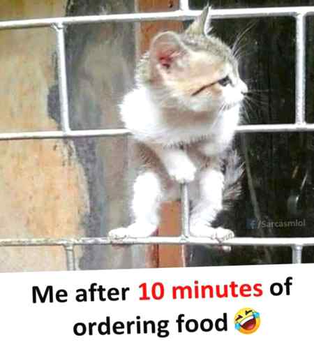 Funny joke