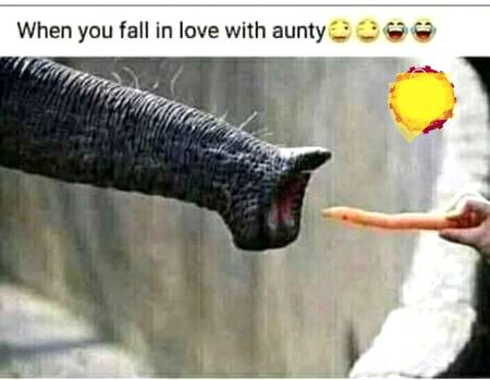 Funny joke