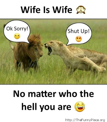 Funny joke