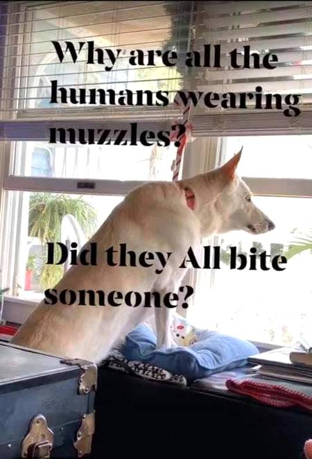 Funny joke