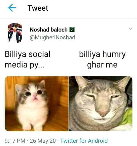 Funny joke