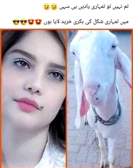 Funny joke