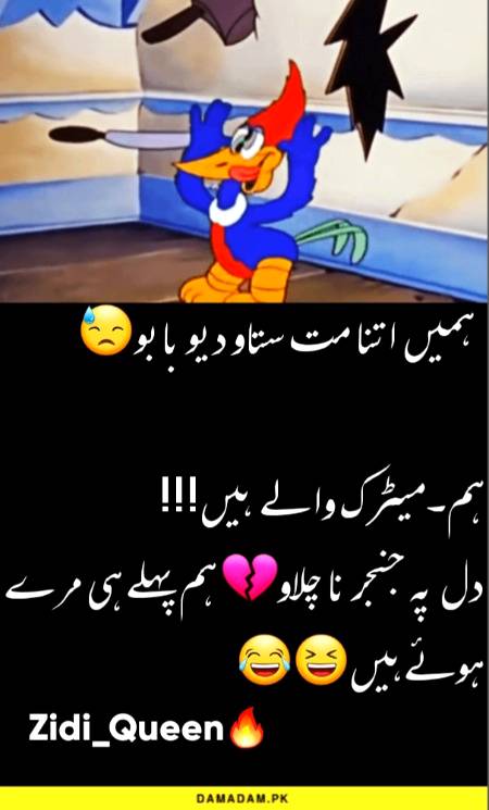 Funny joke