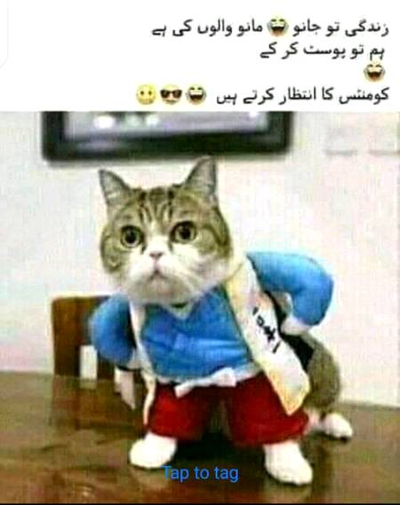Funny joke