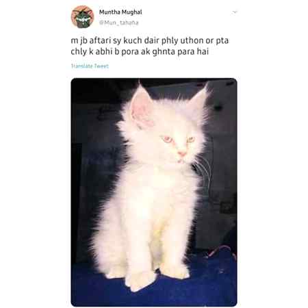 Funny joke
