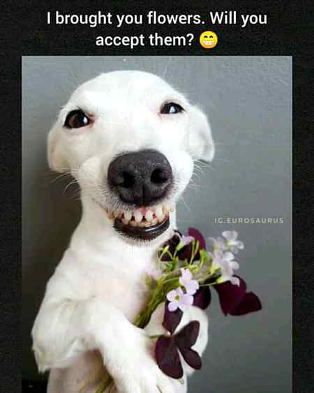 Funny joke