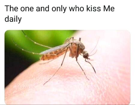 Funny joke
