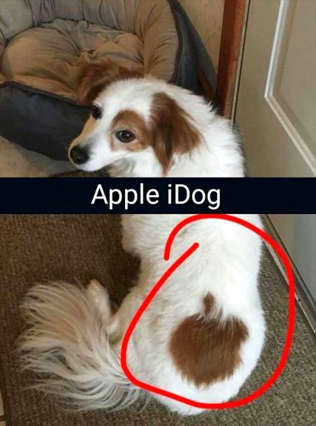 Funny joke