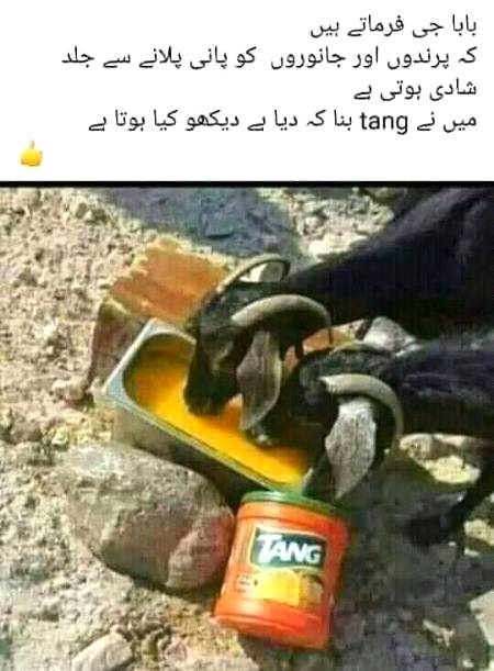 Funny joke