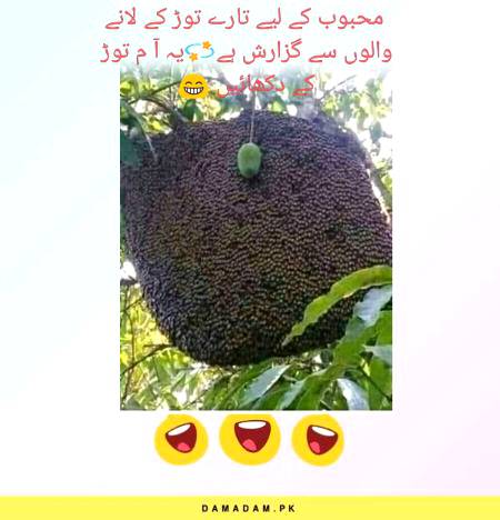 Funny joke