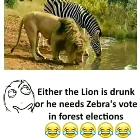 Funny joke