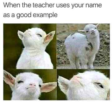 Funny joke