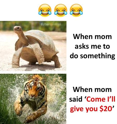 Funny joke