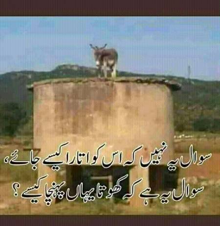 Funny joke
