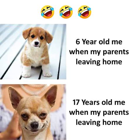 Funny joke