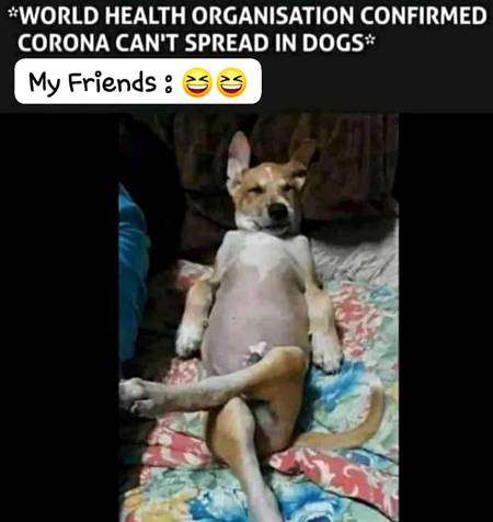 Funny joke