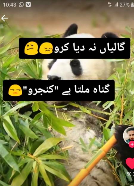 Funny joke