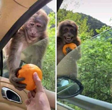 Funny joke