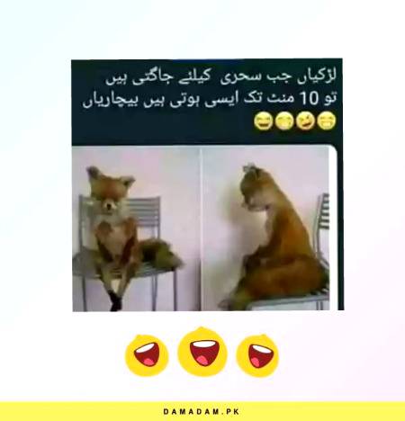 Funny joke