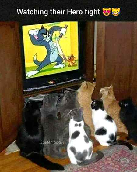 Funny joke