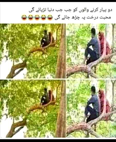 Funny joke
