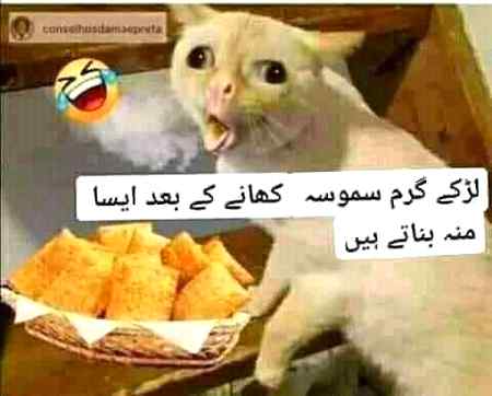 Funny joke