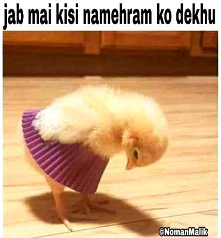Funny joke