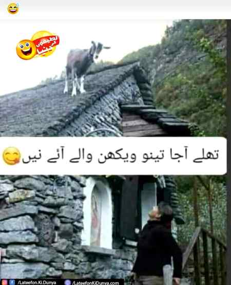 Funny joke