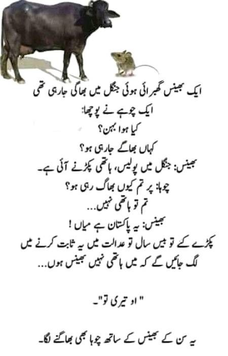 Funny joke
