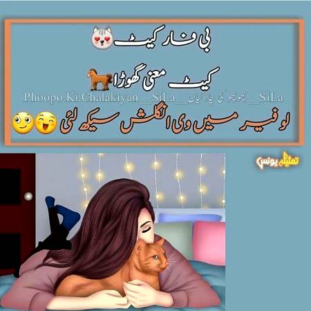 Funny joke