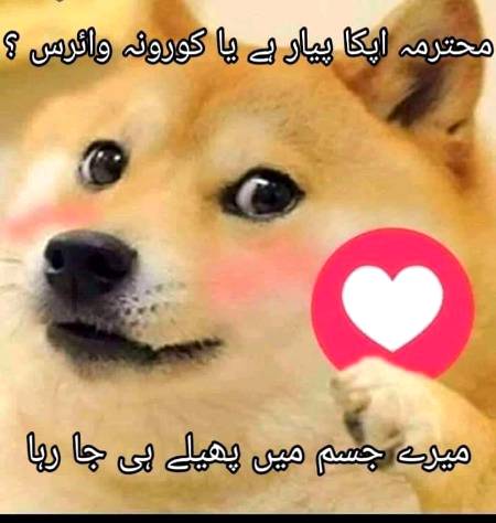 Funny joke