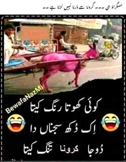 Funny joke