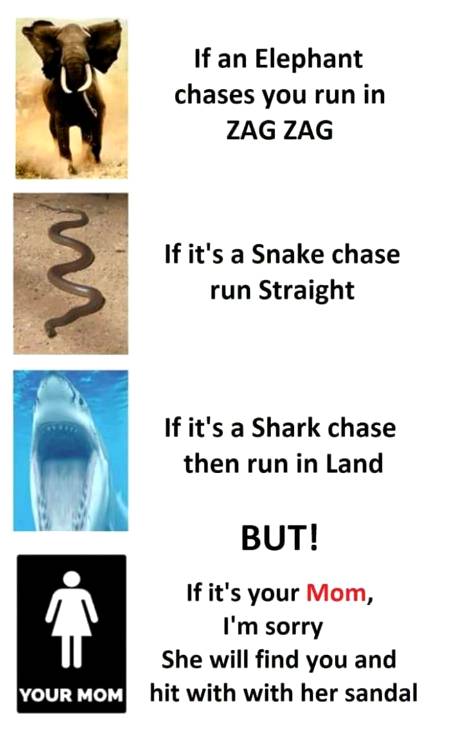 Funny joke