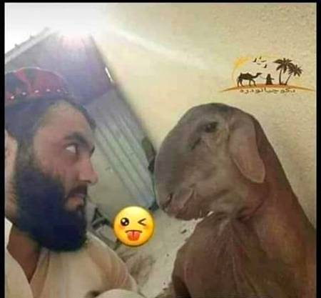 Funny joke