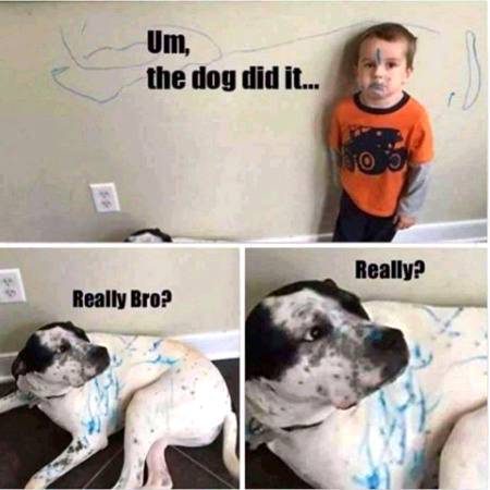Funny joke