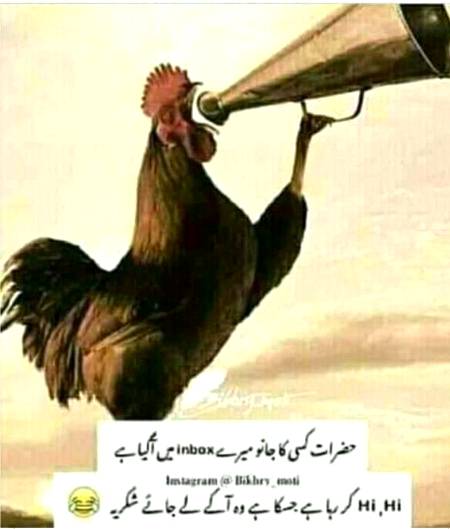 Funny joke