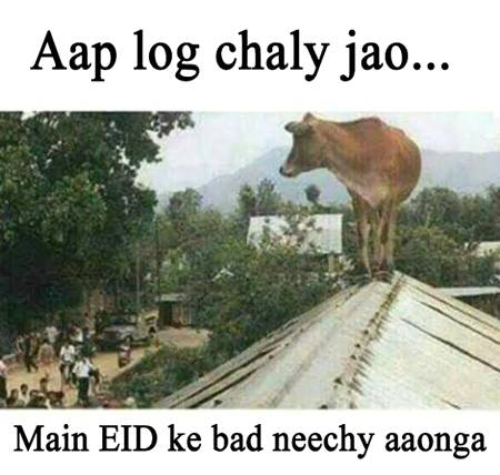 Funny joke