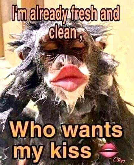 Funny joke