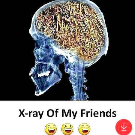 Funny joke