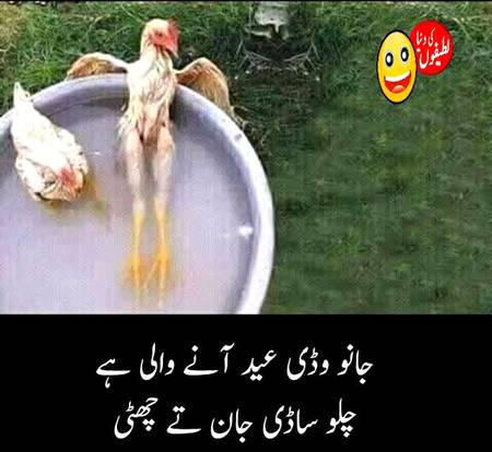Funny joke
