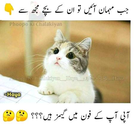 Funny joke