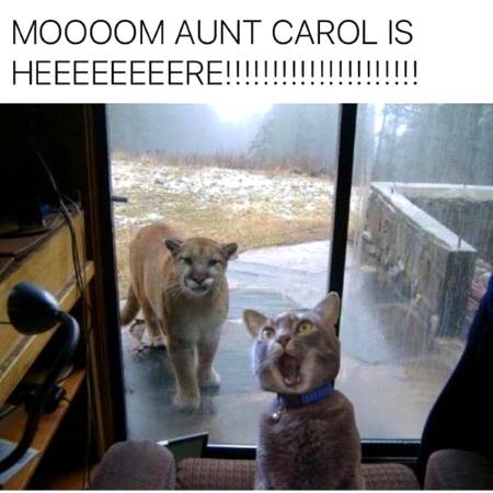 Funny joke