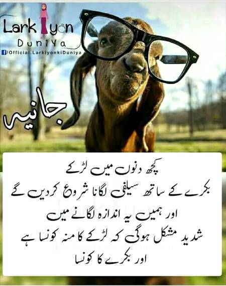 Funny joke