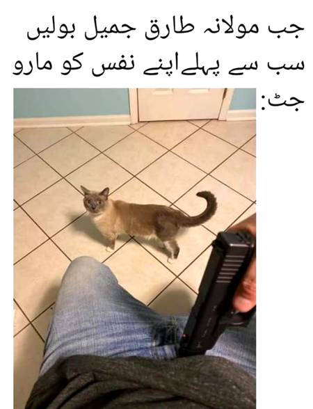 Funny joke