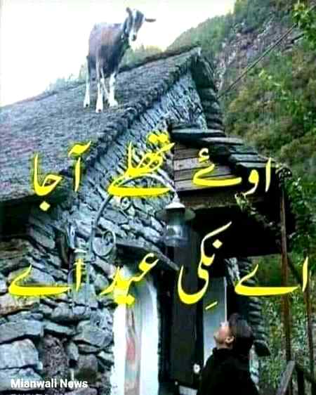 Funny joke